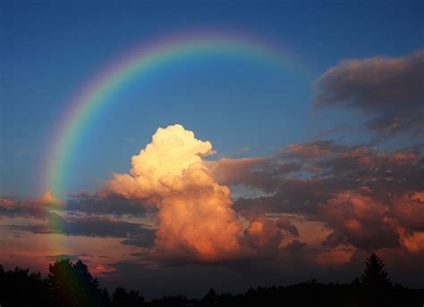 The magic rainbow